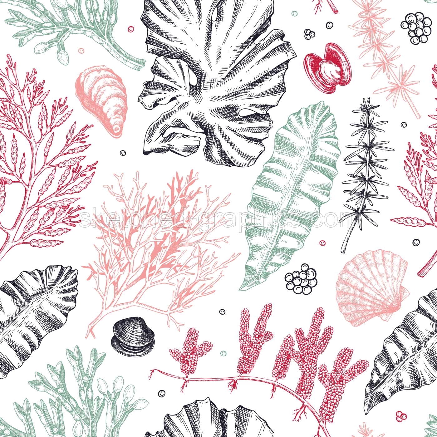 Sea life background in color. Edible seaweed seamless pattern. Hand-drawn kelp, kombu, wakame, hijiki, sea shells illustrations. Underwater plants and algae sketches. For print, menu design or textile Illustration